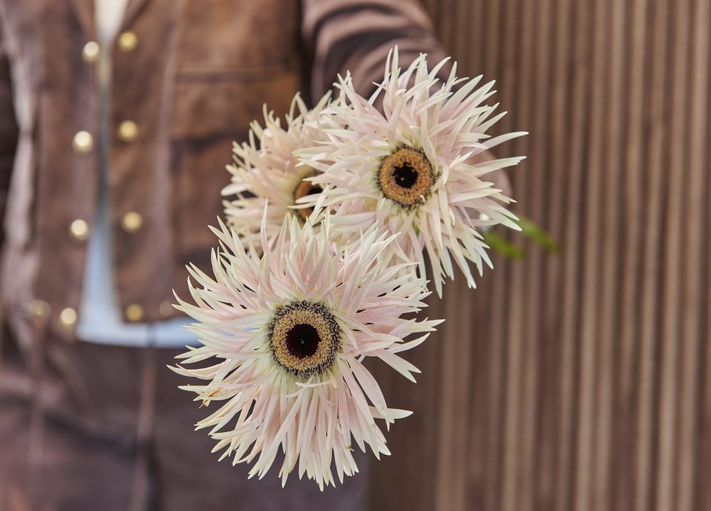 charming flowers6395